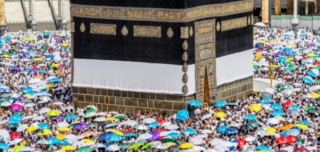 رسمياً.. الهيئة العامة للإحصاء تكشف عن إجمالي أعداد الحجاج لموسم 1447هـ